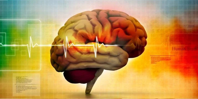 bioprogramacion